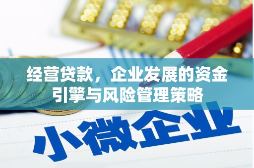 师宗经营贷款，企业发展的资金引擎与风险管理策略