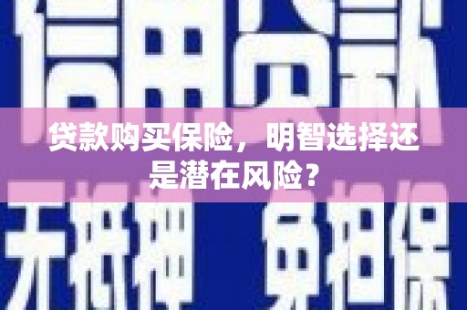颍上贷款购买保险，明智选择还是潜在风险？