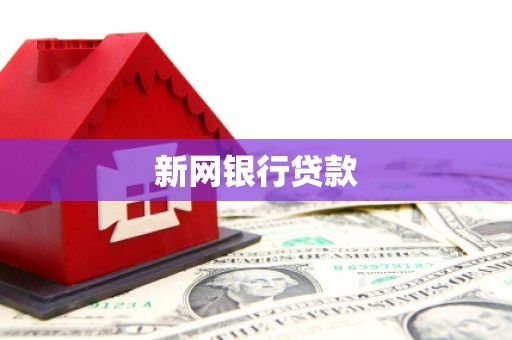 安定新网银行贷款