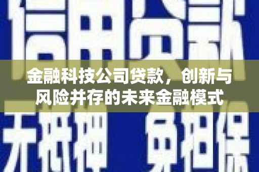 中方金融科技公司贷款，创新与风险并存的未来金融模式