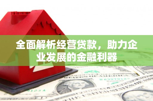 白沙全面解析经营贷款，助力企业发展的金融利器