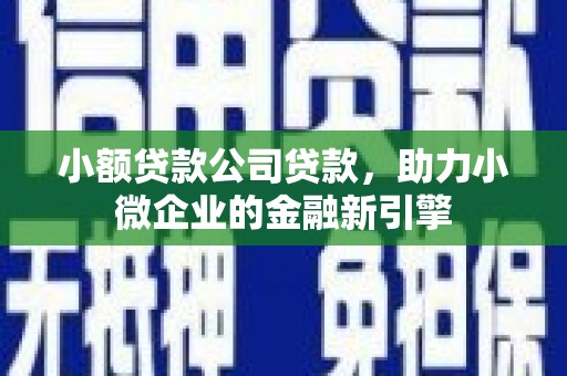 沐川小额贷款公司贷款，助力小微企业的金融新引擎
