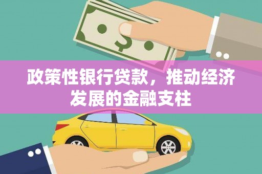 江川政策性银行贷款，推动经济发展的金融支柱