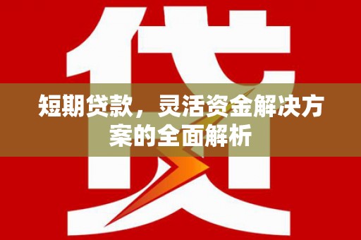 麻山短期贷款，灵活资金解决方案的全面解析
