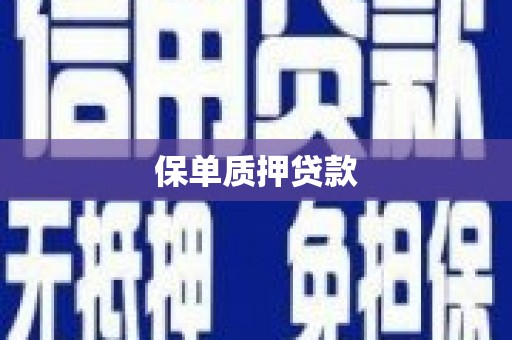宁晋保单质押贷款