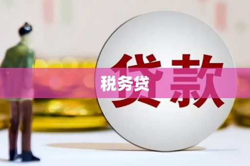 湖西税务贷