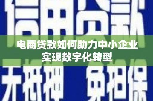 左云电商贷款如何助力中小企业实现数字化转型