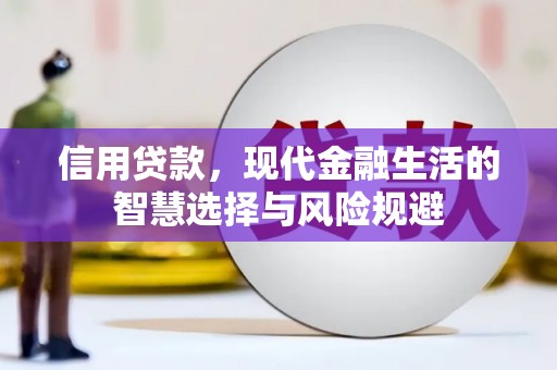 九台信用贷款，现代金融生活的智慧选择与风险规避