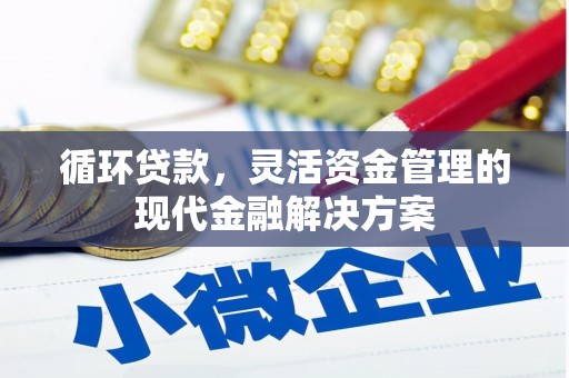 嘉禾循环贷款，灵活资金管理的现代金融解决方案