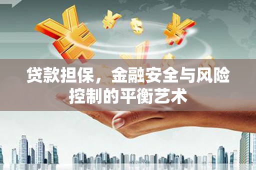 九原贷款担保，金融安全与风险控制的平衡艺术