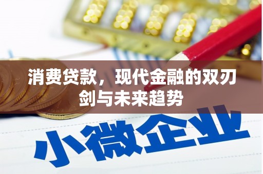 苓雅消费贷款，现代金融的双刃剑与未来趋势