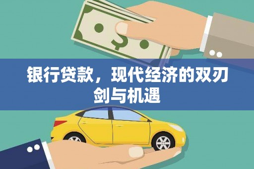 纳雍银行贷款，现代经济的双刃剑与机遇