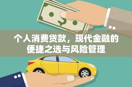 盐源个人消费贷款，现代金融的便捷之选与风险管理