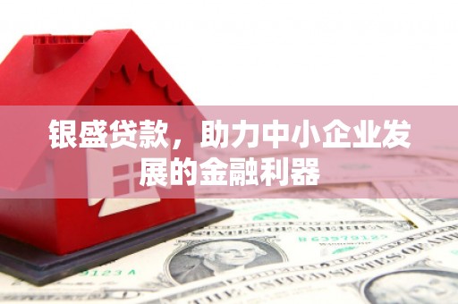 汤原银盛贷款，助力中小企业发展的金融利器