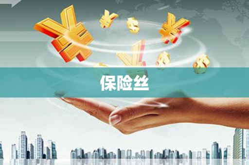 兴山保险丝