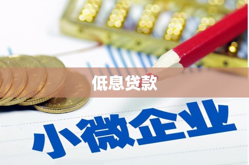 琼结低息贷款