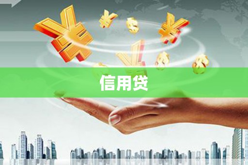 双清信用贷