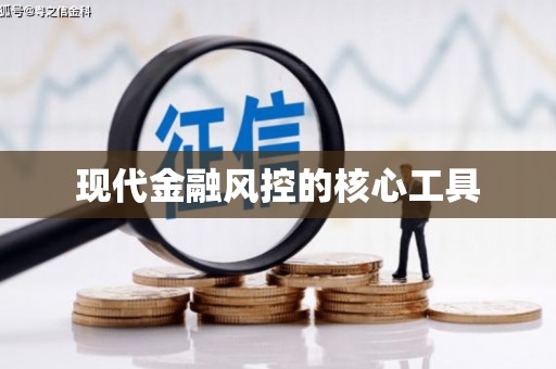 镇巴现代金融风控的核心工具