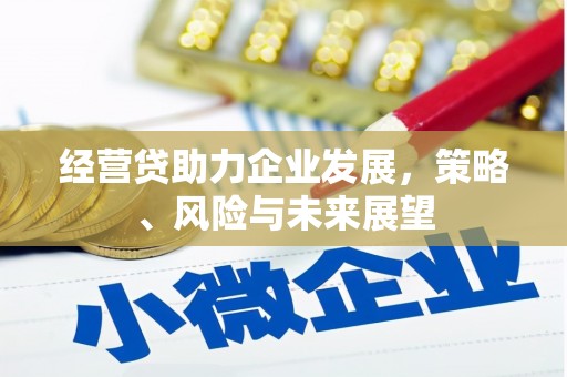 沿河经营贷助力企业发展，策略、风险与未来展望