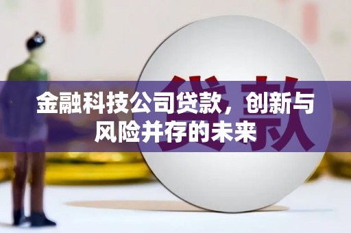 莎车金融科技公司贷款，创新与风险并存的未来