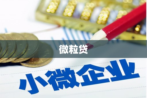 玛曲微粒贷
