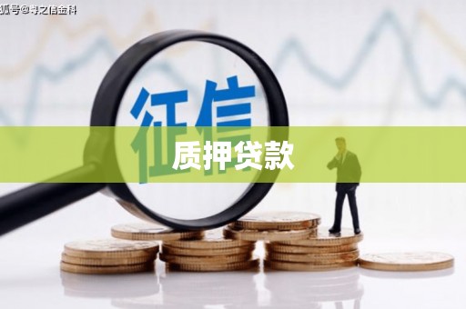 尚义质押贷款