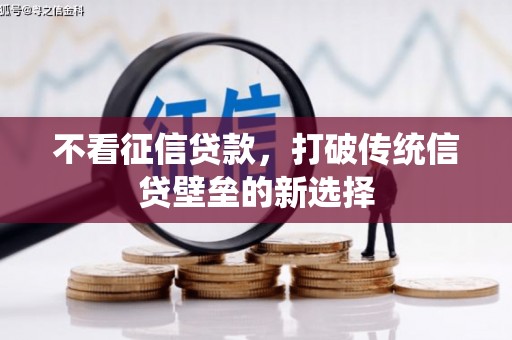 新埤不看征信贷款，打破传统信贷壁垒的新选择