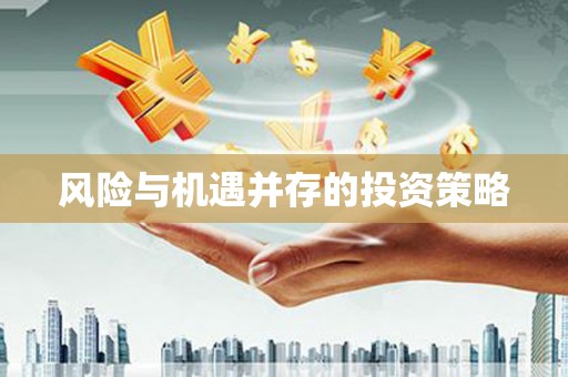 靖宇风险与机遇并存的投资策略