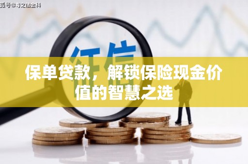 六安保单贷款，解锁保险现金价值的智慧之选