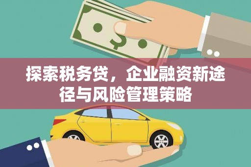 普湾新区探索税务贷，企业融资新途径与风险管理策略
