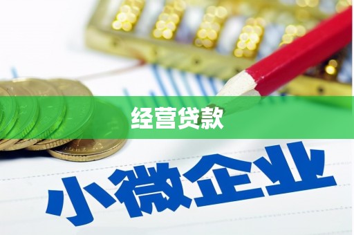 芮城经营贷款
