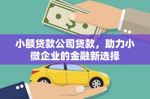 海盐小额贷款公司贷款，助力小微企业的金融新选择