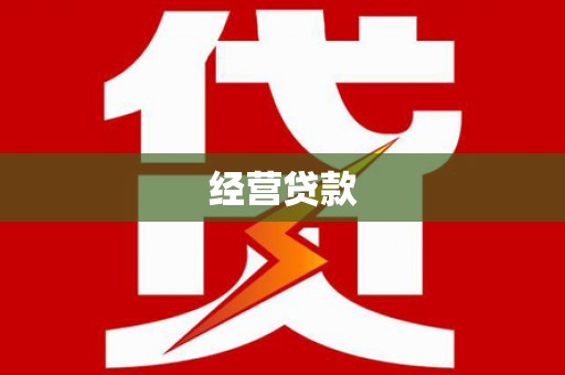 双台子经营贷款