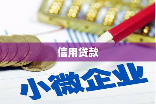 曲麻莱信用贷款