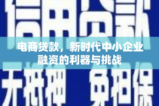 宣威电商贷款，新时代中小企业融资的利器与挑战