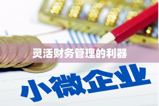 路环岛灵活财务管理的利器