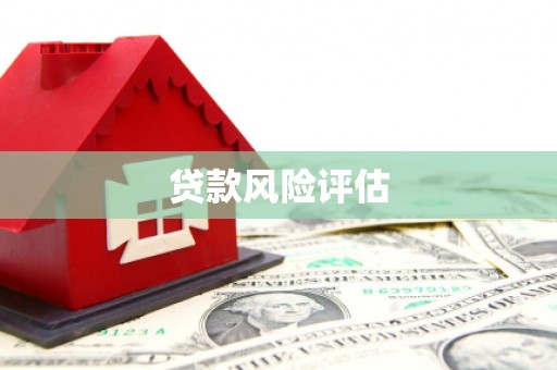 米易贷款风险评估