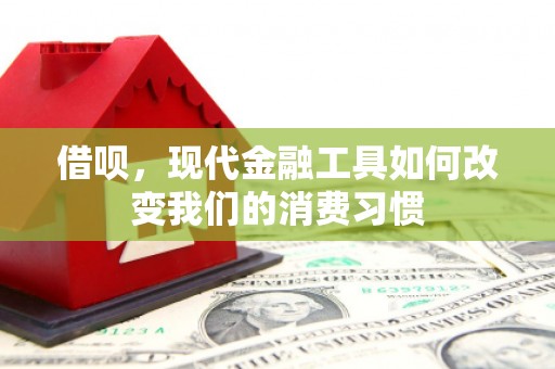 沙依巴克借呗，现代金融工具如何改变我们的消费习惯