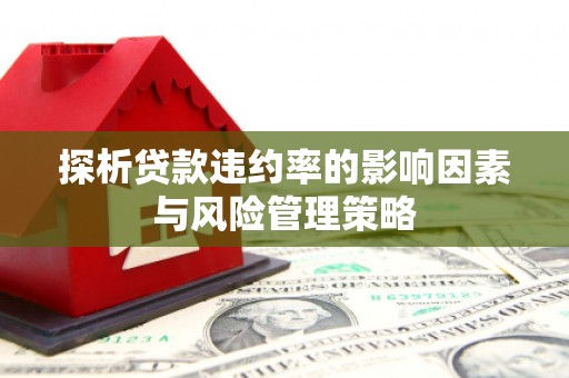 龙川探析贷款违约率的影响因素与风险管理策略