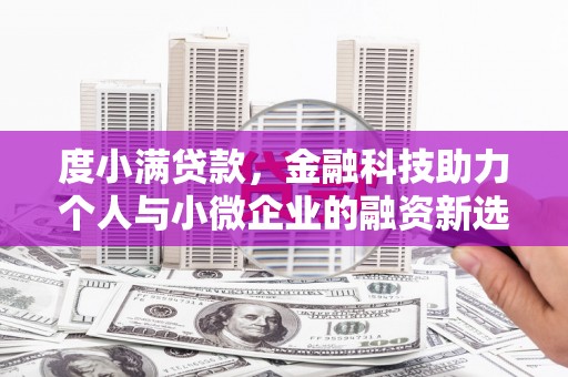 雷州度小满贷款，金融科技助力个人与小微企业的融资新选择