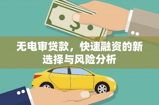 金秀无电审贷款，快速融资的新选择与风险分析
