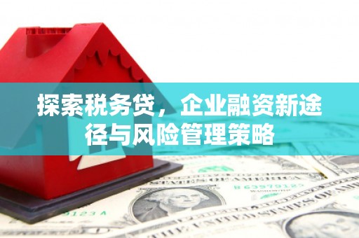 灌阳探索税务贷，企业融资新途径与风险管理策略