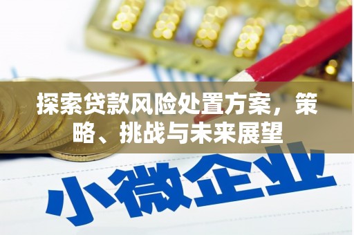 永济探索贷款风险处置方案，策略、挑战与未来展望