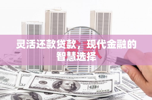 安远灵活还款贷款，现代金融的智慧选择