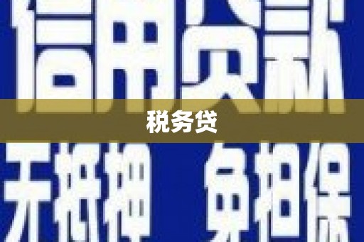 襄阳税务贷