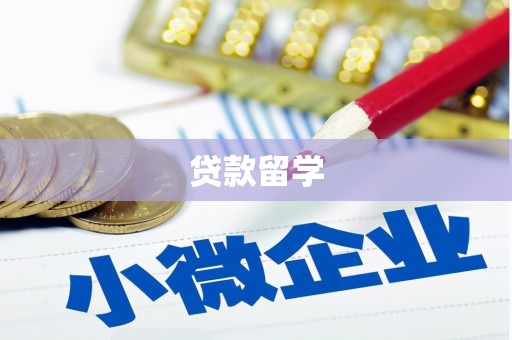 振兴贷款留学