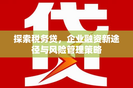 宾县探索税务贷，企业融资新途径与风险管理策略