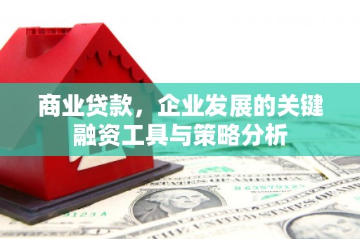 红塔商业贷款，企业发展的关键融资工具与策略分析