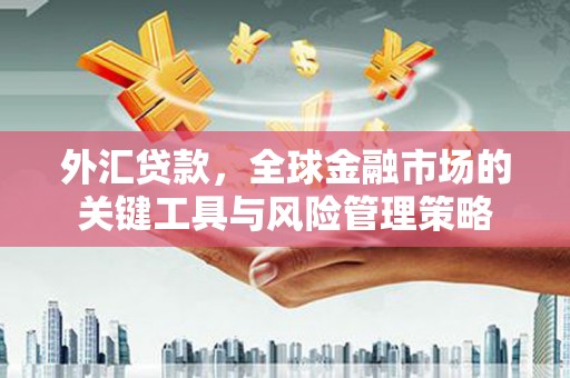 宝安外汇贷款，全球金融市场的关键工具与风险管理策略