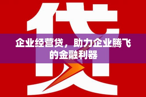 墨玉企业经营贷，助力企业腾飞的金融利器